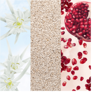 Thiết Kế Chưa Có Tên (20)